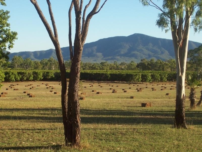 3113 Collinsville road, Bowen QLD 4805