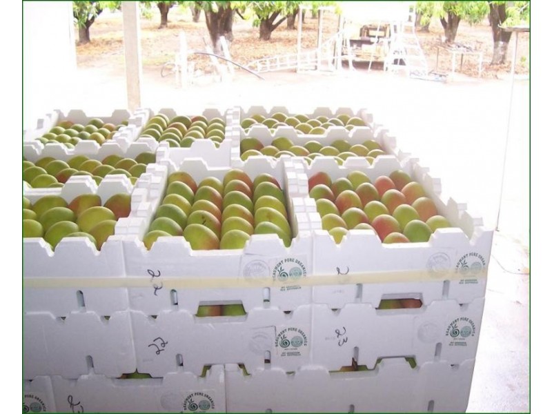 3113 Collinsville road, Bowen QLD 4805