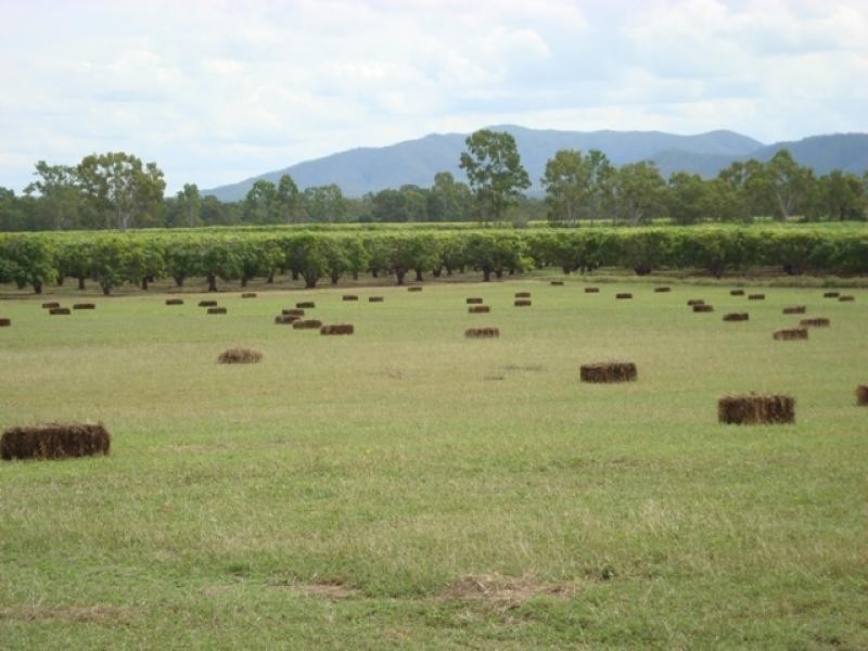 3113 Collinsville road, Bowen QLD 4805