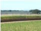 Lot 3/ Bruce Highway, Bambaroo QLD 4850