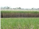 Lot 3/ Bruce Highway, Bambaroo QLD 4850