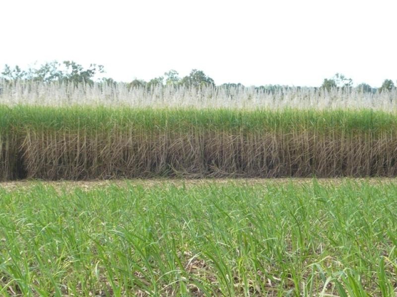 Lot 3/ Bruce Highway, Bambaroo QLD 4850