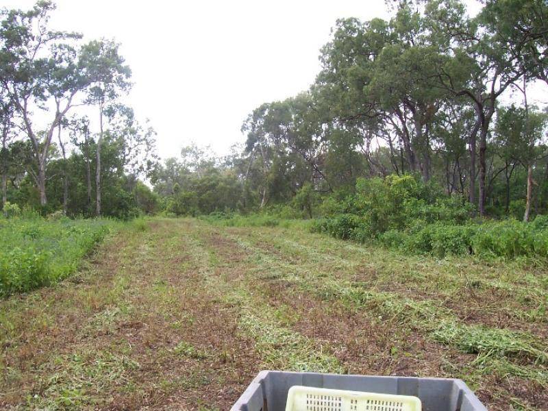 Cape Cleveland QLD 4810