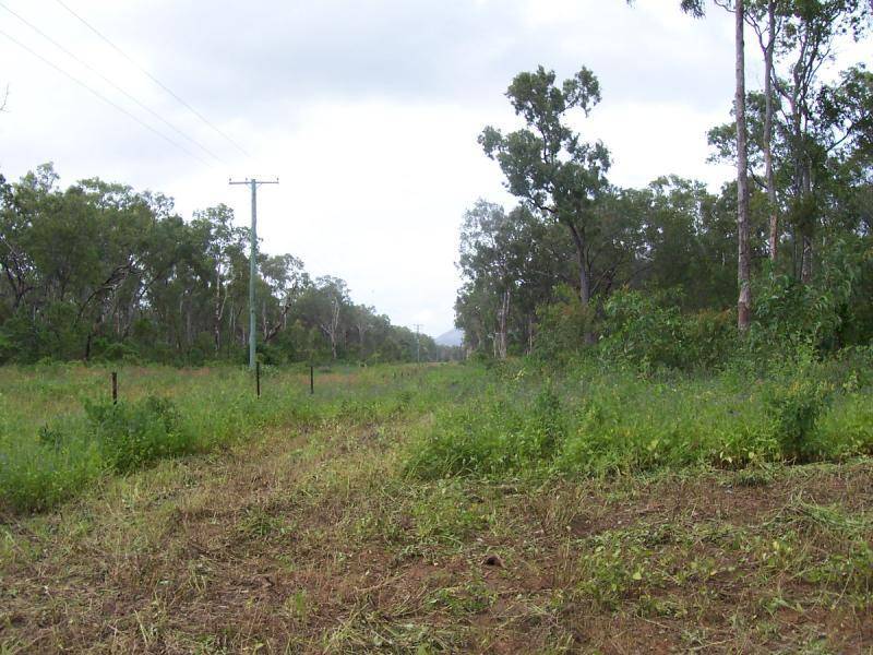 Cape Cleveland QLD 4810