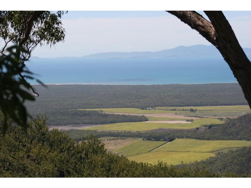 28 MT SPEC ROAD, Paluma QLD 4816