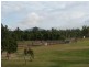 Lot 4 WILLIAMS ROAD, Alligator Creek QLD 4816