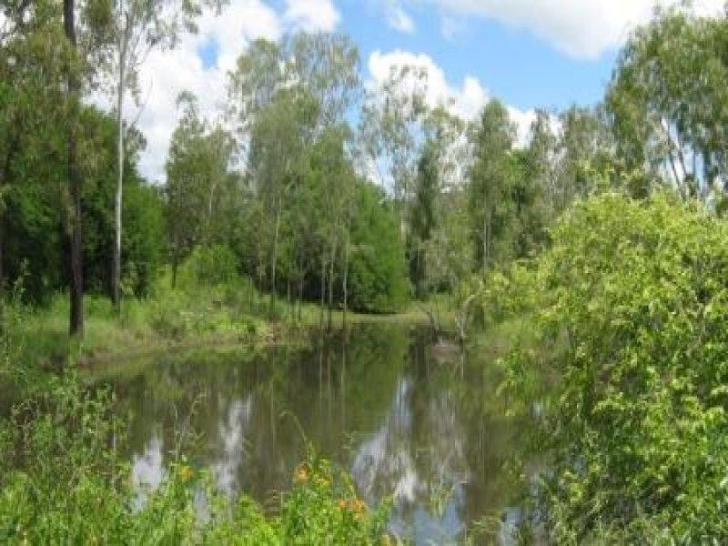 126 DINGO PARK ROAD, Woodstock QLD 4816