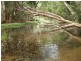 Lot 6/ NOYLAND ROAD, Alligator Creek QLD 4816