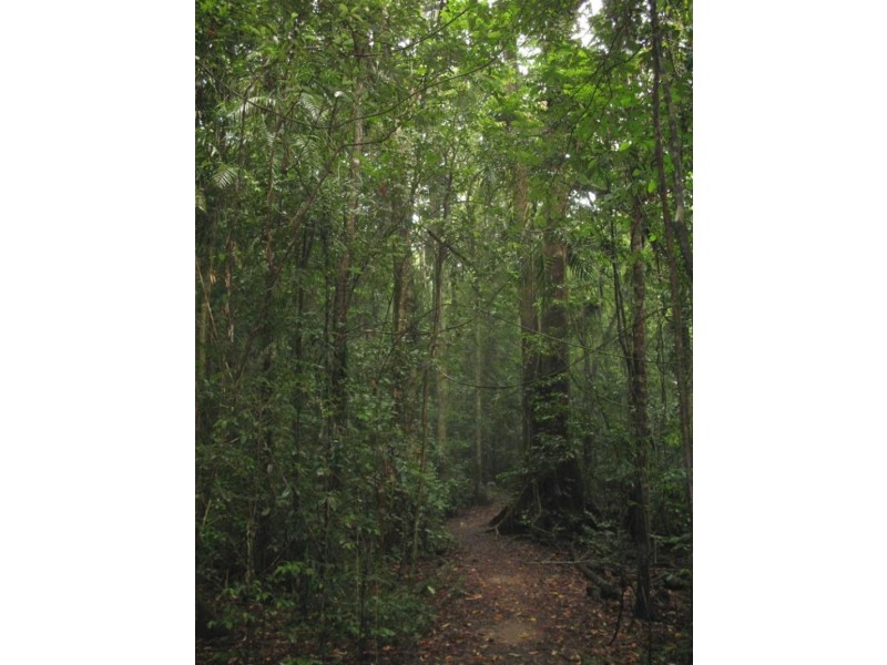 3 LENNOX CRESCENT, Paluma QLD 4816