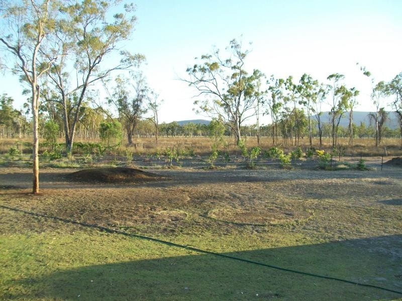 191 SKYDIVER ROAD, Woodstock QLD 4816