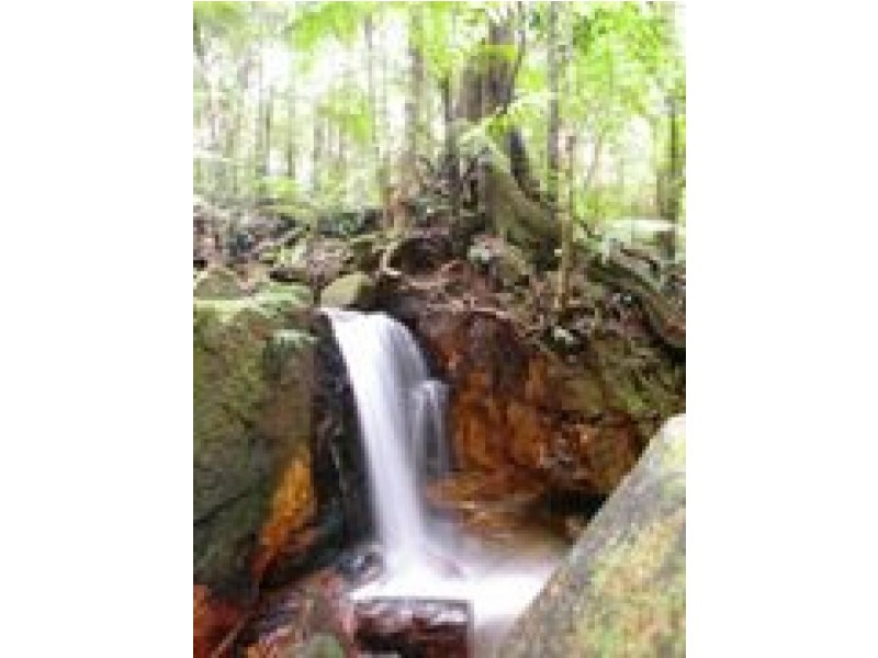 8 SMITH STREET, Paluma QLD 4816