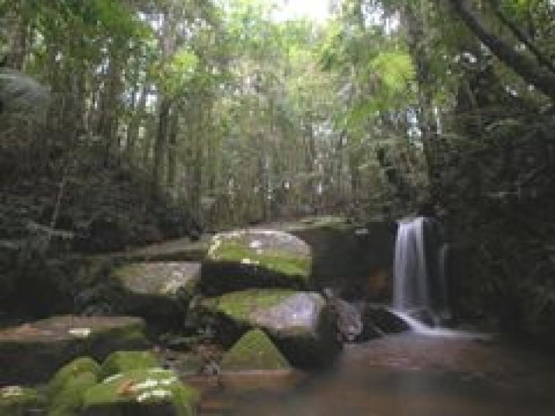 8 SMITH STREET, Paluma QLD 4816