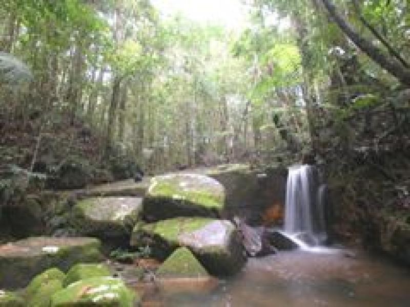 8 SMITH STREET, Paluma QLD 4816