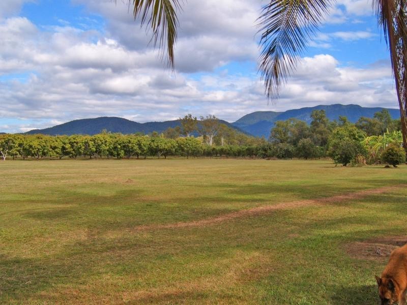 106 BALGAL BEACH ROAD, Balgal Beach QLD 4816