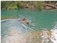 106 BALGAL BEACH ROAD, Balgal Beach QLD 4816