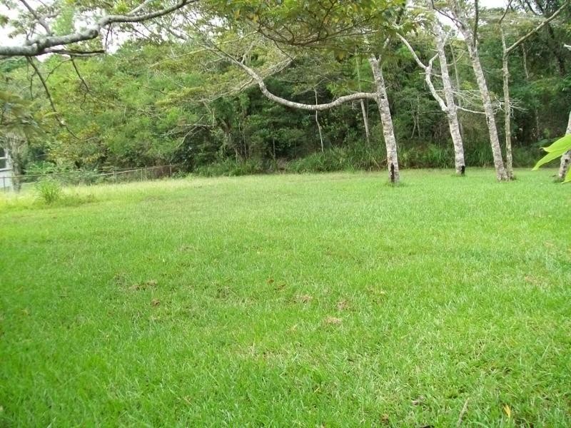 32 MT SPEC ROAD, Paluma QLD 4816