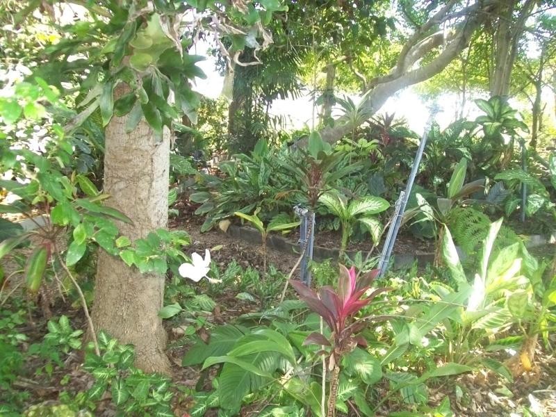 30 MURRAY ROAD, Woodstock QLD 4816