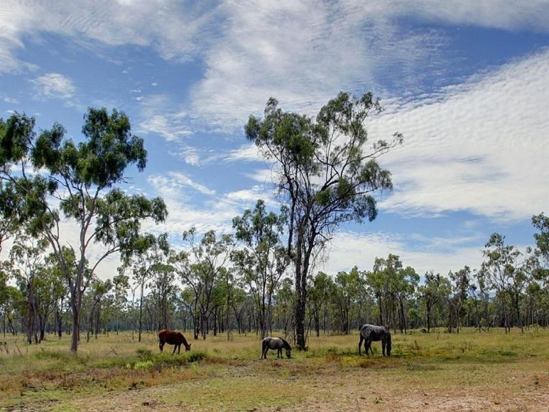 191 SKYDIVER ROAD, Woodstock QLD 4816