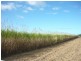 Lot 3/ BRUCE HIGHWAY, Bambaroo QLD 4850
