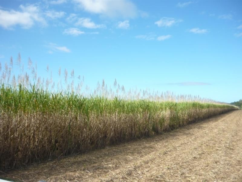 Lot 3/ BRUCE HIGHWAY, Bambaroo QLD 4850