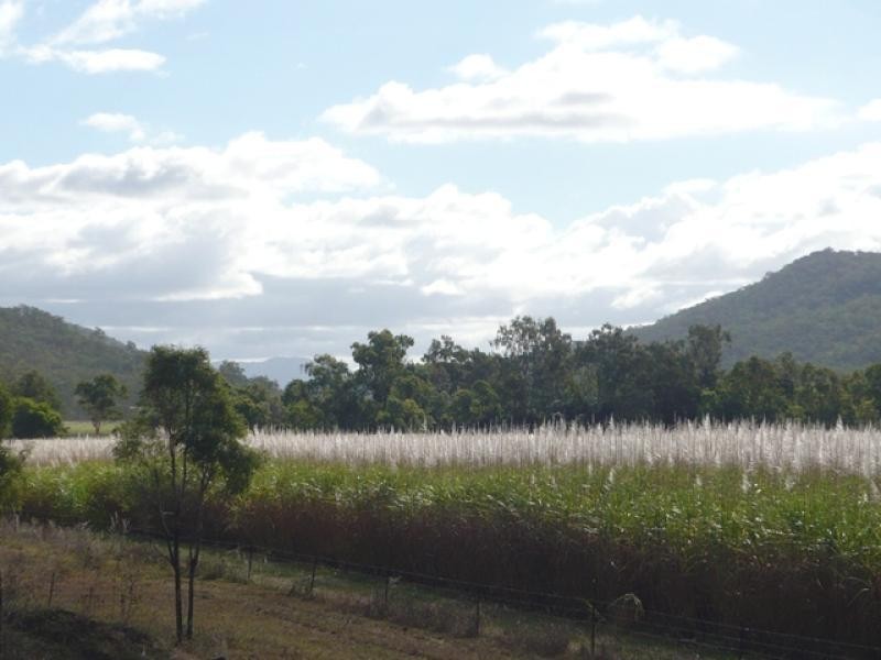 Lot 3/ BRUCE HIGHWAY, Bambaroo QLD 4850