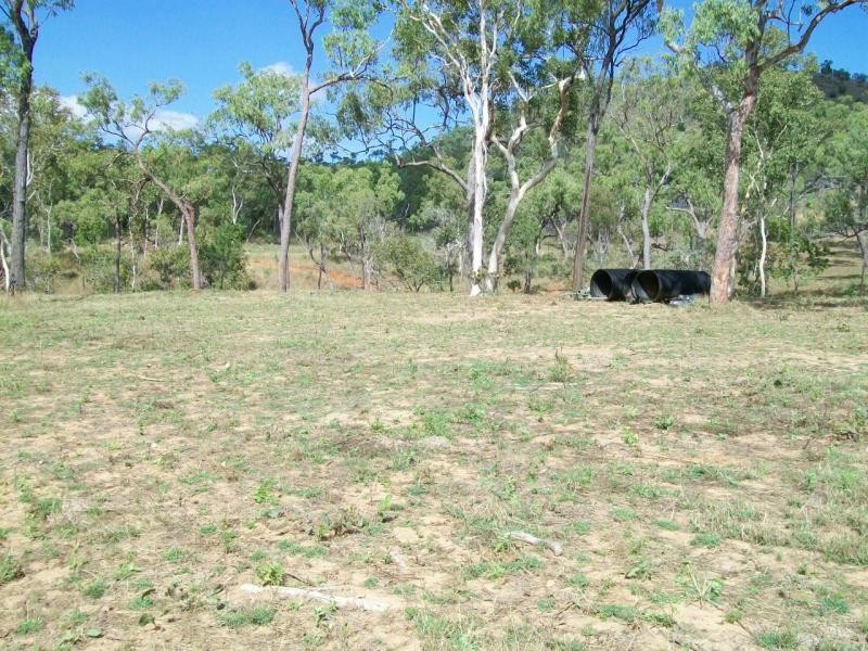 Lot 100/ PLANT HILL ROAD, REID RIVER,, Calcium QLD 4816 the real