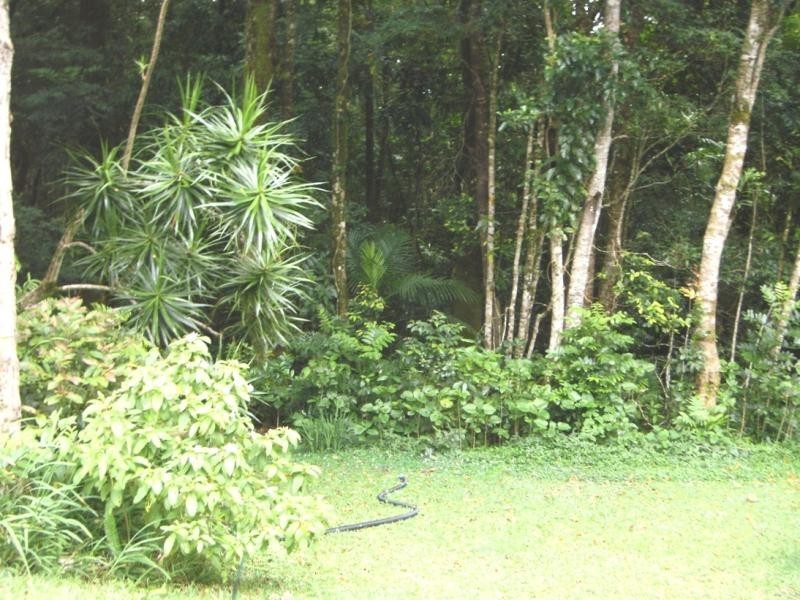 19 MT SPEC ROAD, Paluma QLD 4816