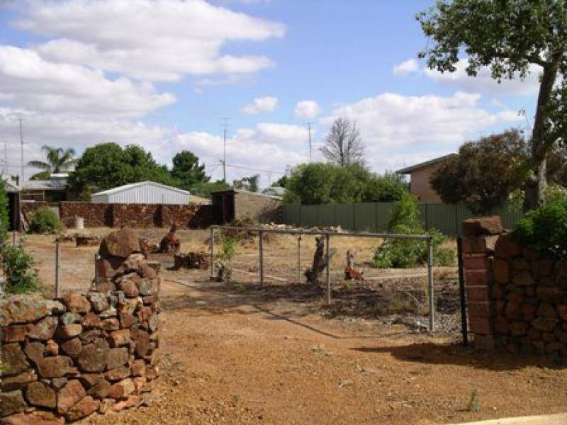 Wongan Hills WA 6603