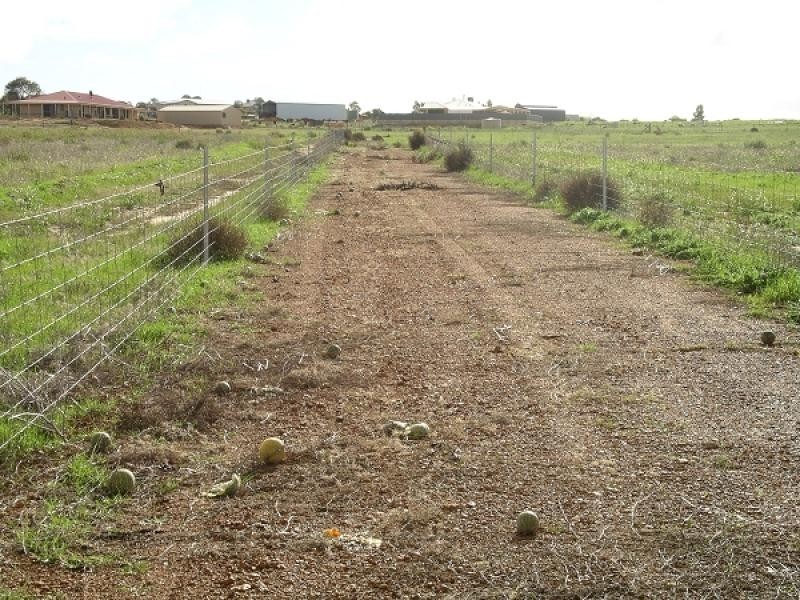 15 Stonestreet Way, Wongan Hills WA 6603