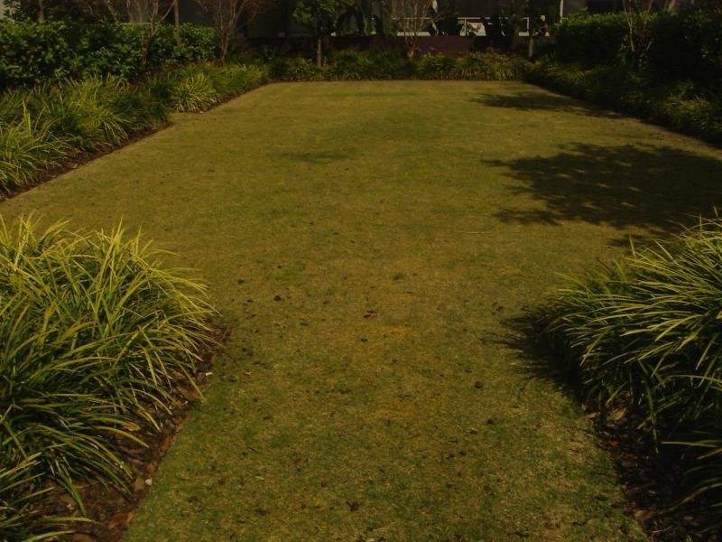 Apartment 55/555 Princes Highway, Rockdale NSW 2216