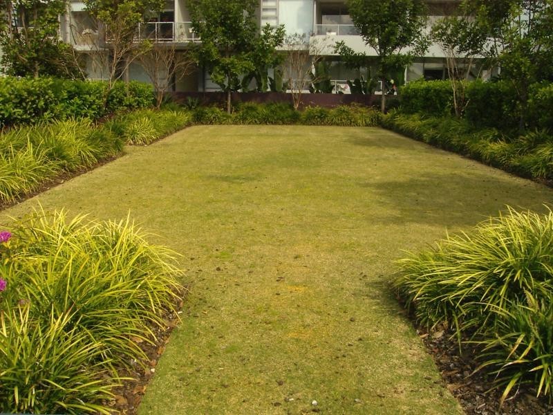 Apartment 55/555 Princes Highway, Rockdale NSW 2216