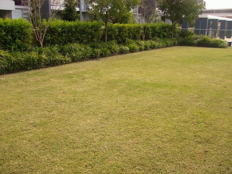 Apartment 177/555 Princes Highway, Rockdale NSW 2216