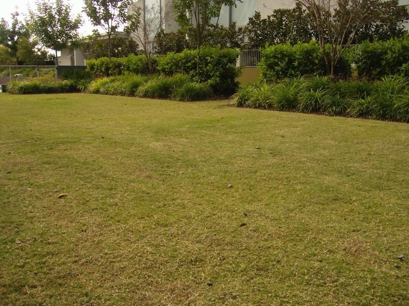 Apartment 31/555 Princes Highway, Rockdale NSW 2216