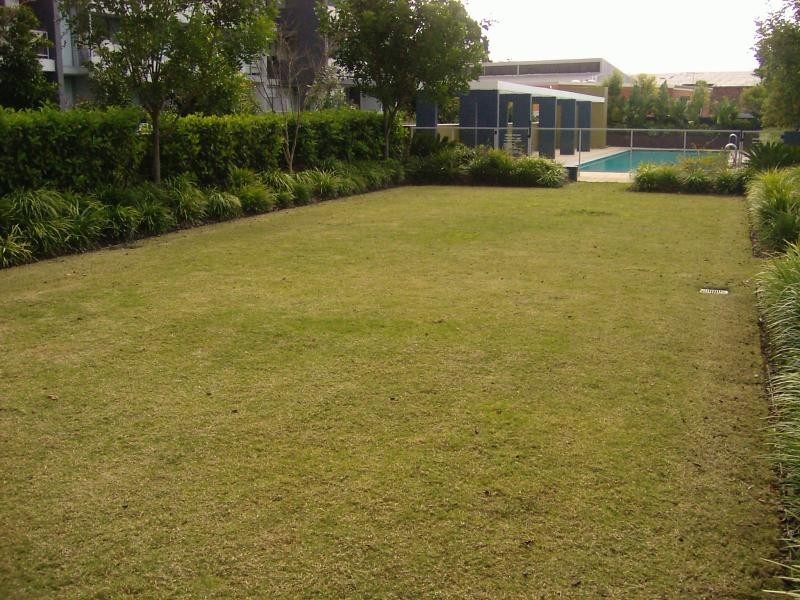 Apartment 31/555 Princes Highway, Rockdale NSW 2216