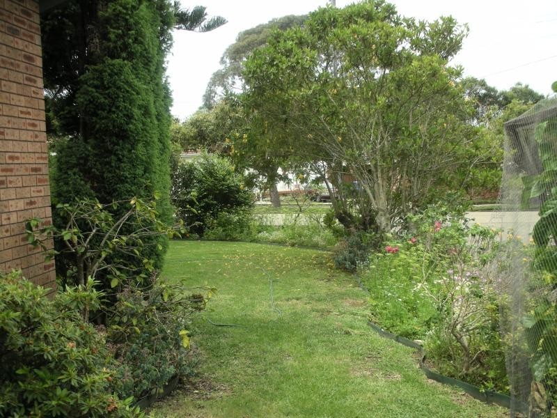 49 Mountview Street, Narwee NSW 2209