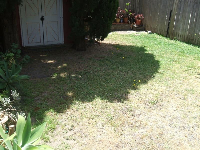 27 Stewart Street, Randwick NSW 2031