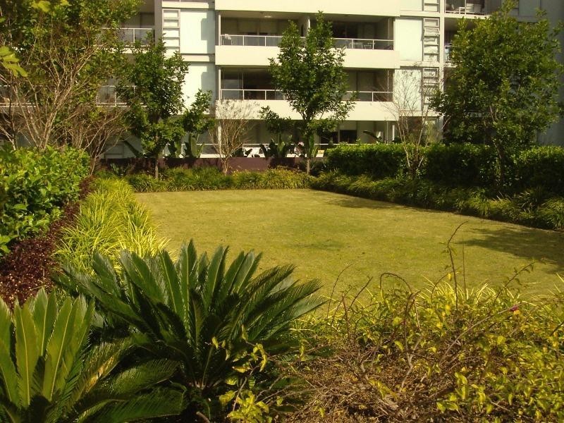 31/555 Princes Highway, Rockdale NSW 2216