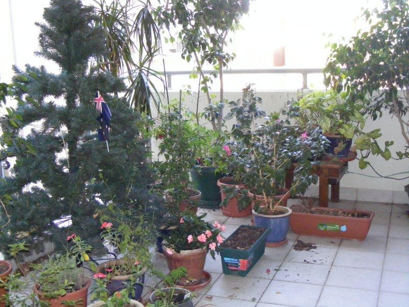 9 Banksia Avenue, Banksia NSW 2216