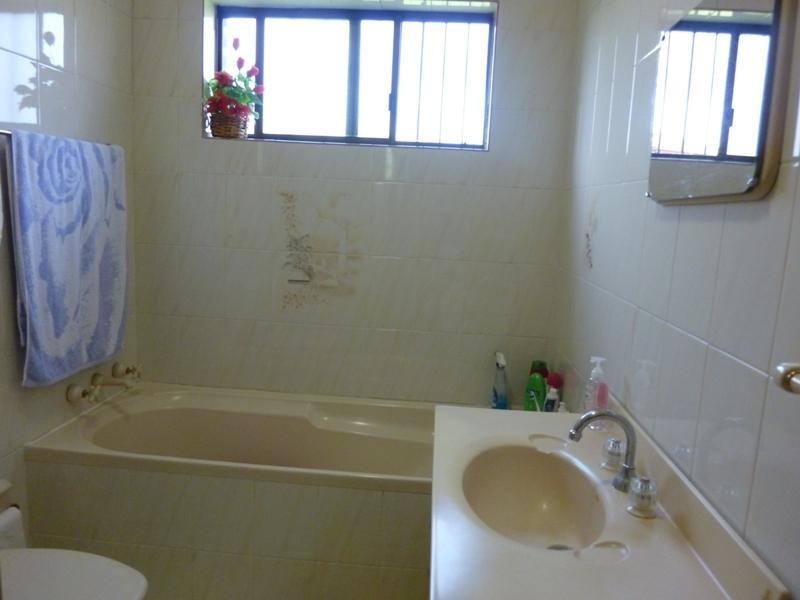 9A Gowrie Avenue, Punchbowl NSW 2460