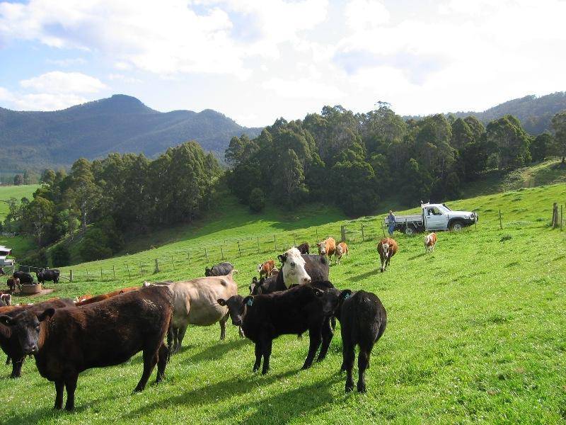 160 LOWANA ROAD, Gunns Plains TAS 7315