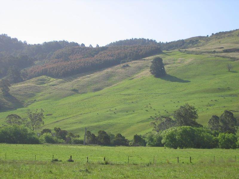 160 LOWANA ROAD, Gunns Plains TAS 7315