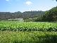 0 GUNNS PLAINS ROAD, Gunns Plains TAS 7315