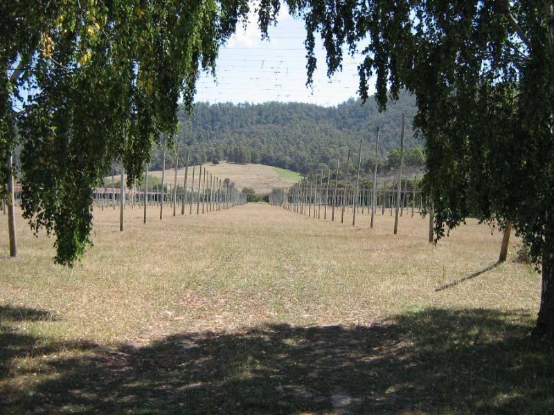 0 GUNNS PLAINS ROAD, Gunns Plains TAS 7315