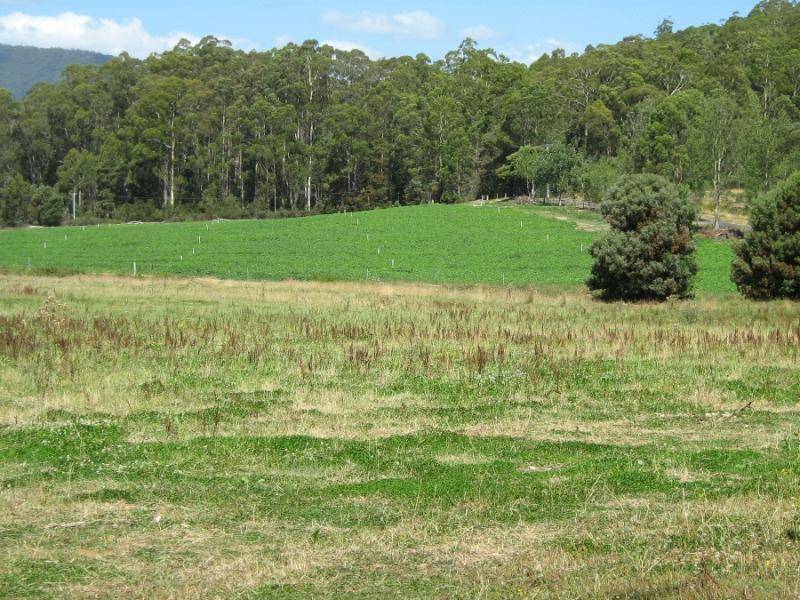0 GUNNS PLAINS ROAD, Gunns Plains TAS 7315