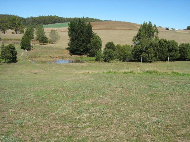 309 BELLAMY ROAD, Forthside TAS 7310