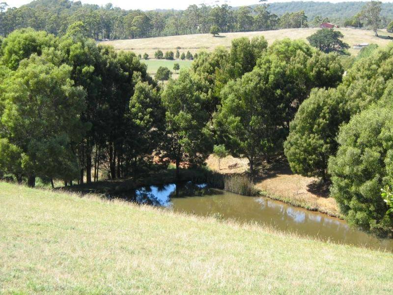 309 BELLAMY ROAD, Forthside TAS 7310