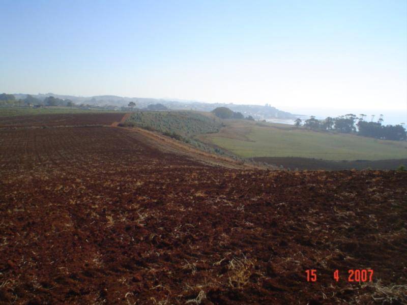 683 PENGUIN ROAD, Penguin TAS 7316