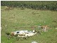 1089 LOONGANA ROAD, Loongana TAS 7315
