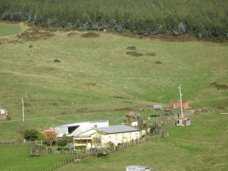 1089 LOONGANA ROAD, Loongana TAS 7315