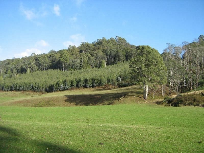 1089 LOONGANA ROAD, Loongana TAS 7315
